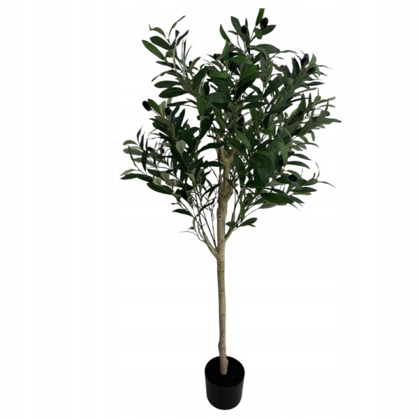 ef588d73ea3cbbfd9a9c2b32a4c63861