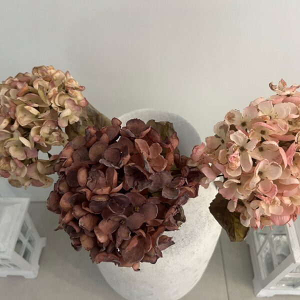 ca830dbfd604f35be95c58f52b874352